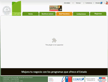 Tablet Screenshot of codesser.cl
